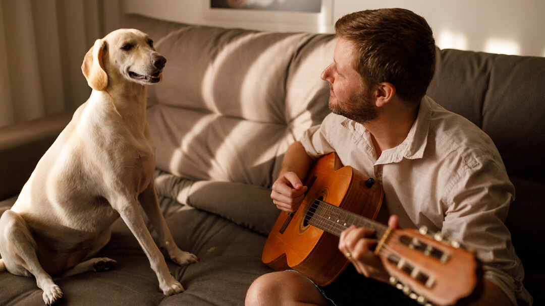 Koira kuuntelee omistajan kitaransoittoa