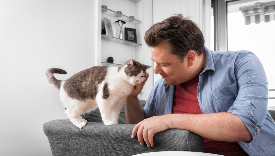 Mies silittää kissansa naamaa, kun se seisoo sohvan käsinojalla.