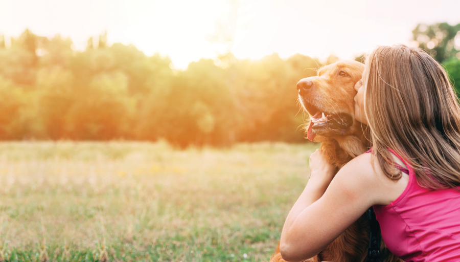 Nainen istui koiransa kanssa ulkona pellolla suutelemassa sen naamaa
