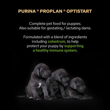 PRO PLAN® Large Athletic Puppy Healthy Start Runsaasti Kanaa