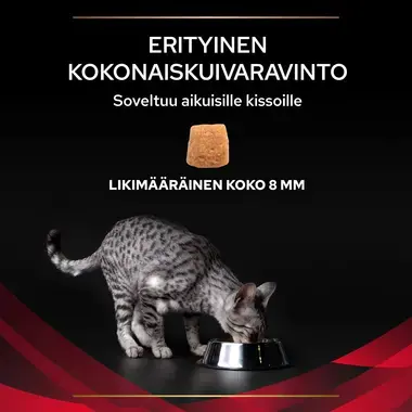 PRO PLAN® VETERINARY DIETS Feline DM St/Ox Diabetes Management (Kuivaruoka)