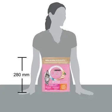 Purina ONE Kitten/Junior 1–12 kk, Sisältää runsaasti Kanaa ja Täysjyvää size