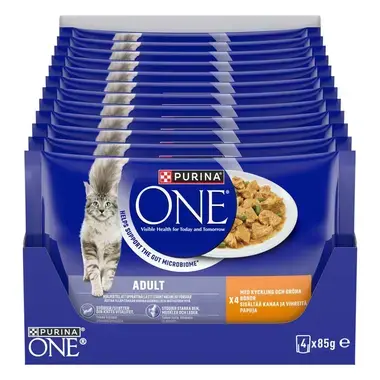 PURINA ONE ADULT Minifileet kastikkeessa
