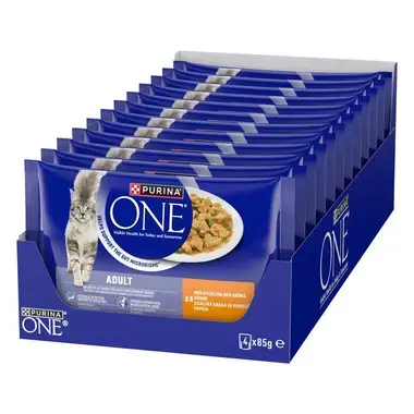 PURINA ONE ADULT Minifileet kastikkeessa