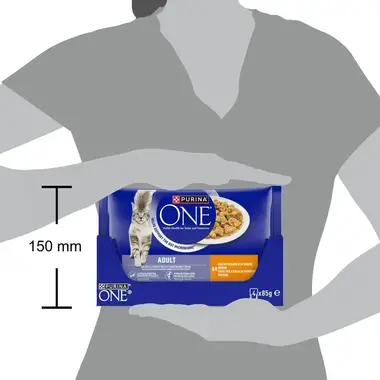 PURINA ONE ADULT Minifileet kastikkeessa