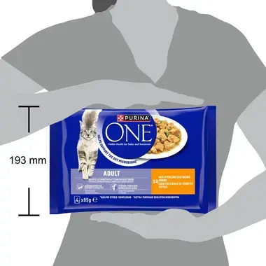 PURINA ONE ADULT Minifileet kastikkeessa