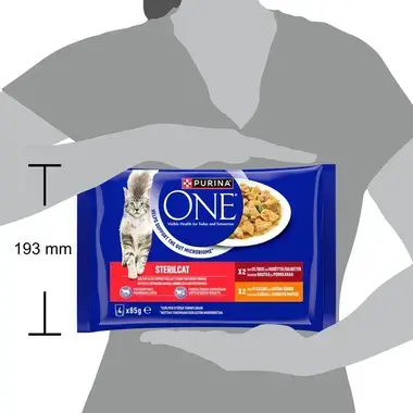 PURINA® ONE® STERILCAT , sisältää Nautaa ja Porkkanaa, ja Mini Filets kastikkeessa sisältää Kanaa ja Vihreitä