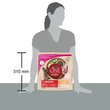 PURINA ONE® Small Dog Senior 8+ runsaasti Kanaa