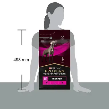 PURINA® PRO PLAN® VETERINARY DIETS UR Urinary™