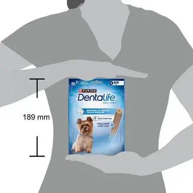 PURINA DentaLife Extra Small Oral Care Koiran Purutikku