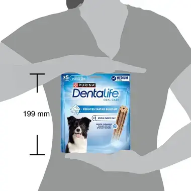 PURINA DentaLife Medium Oral Care Koiran Purutikku