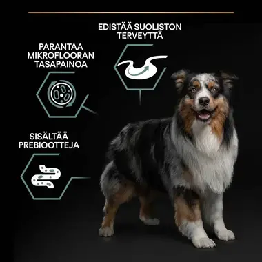 PURINA PRO PLAN Medium Adult Dog Sensitive Digestion Runsaasti lammasta
