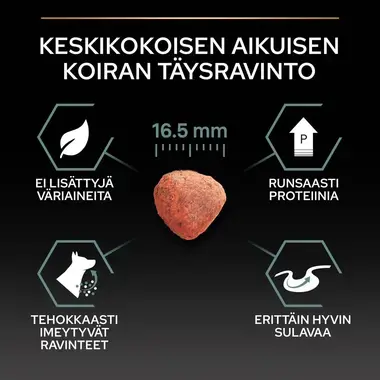 PURINA PRO PLAN Medium Adult Dog Sensitive Digestion Runsaasti lammasta