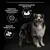 PURINA PRO PLAN Medium Adult Dog Sensitive Digestion Runsaasti lammasta