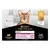 PURINA® PRO PLAN® Delicate Mousse sisältää kanaa