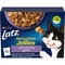 Hero Latz Sensations Jellies Mixed