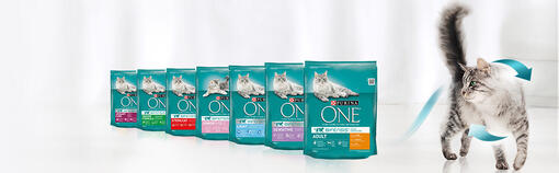 Purina ONE Cat Bifensis