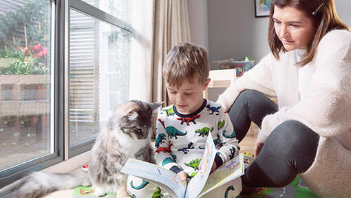 Boy with cat reading book