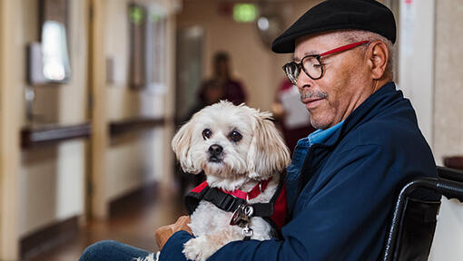 Old man with a dog