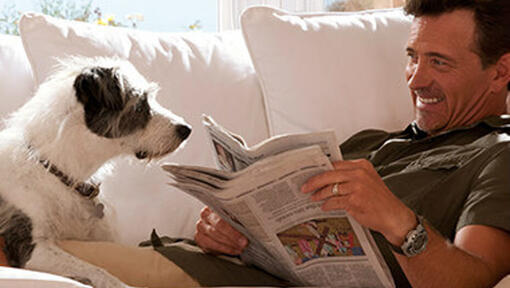 Mies lukee sanomalehteä ja tuijottaa hymyillen koiraansa