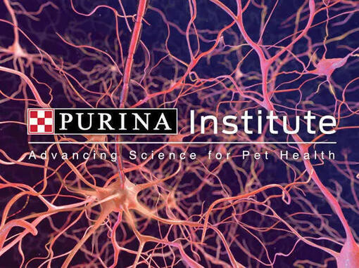 Purina-instituutti