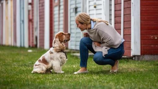 Kvinna tittar på hund