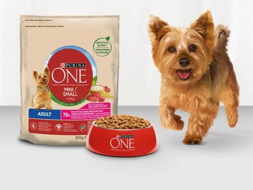 Purina One Dog Mini