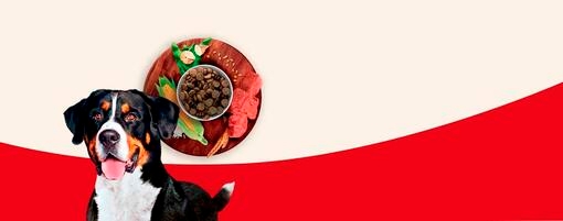keskikokoisille ja suurille koirille (+10kg) sopiva korkealaatuinen täysravinto.