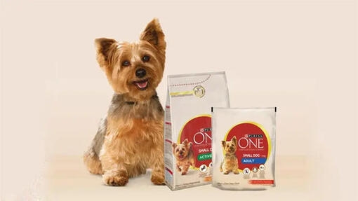 Purina One 