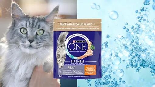 Purina One® Cat