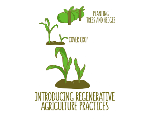 Introduktion av regenerativa jordbruksmetoder.	