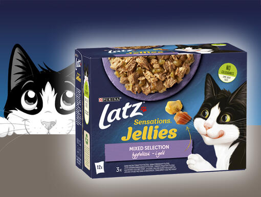 LATZ® Sensations