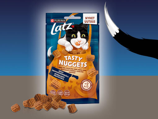 LATZ® Tasty Nuggets