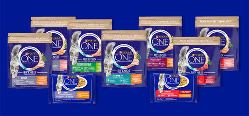 Purina One