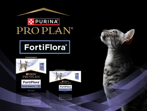 PRO PLAN FortiFlora Kisssan