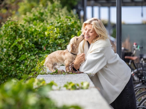 Vahvistakaa sidettänne