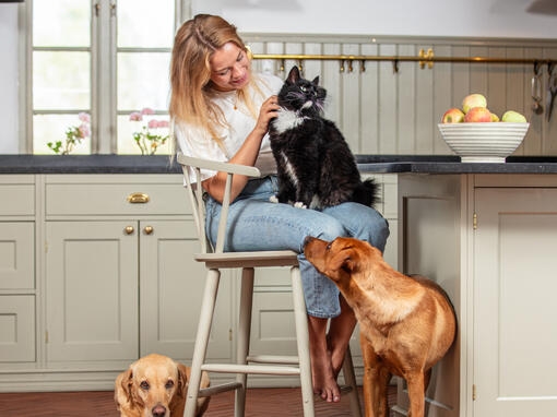 Nainen ja koira katsovat kissaa.