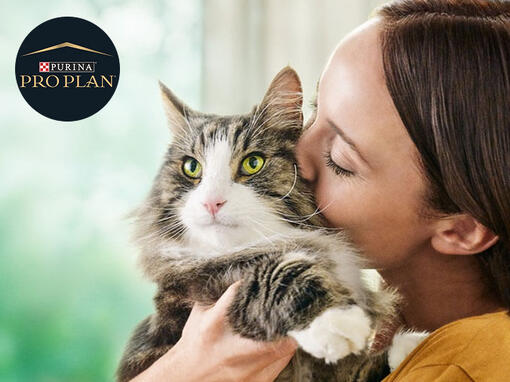 Pro Plan Liveclear