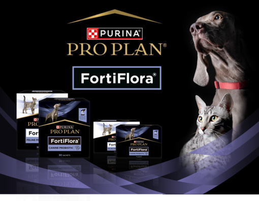 Pro Plan FortiFlora