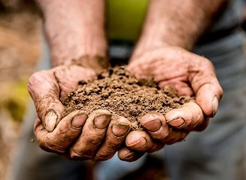 Ground in hands