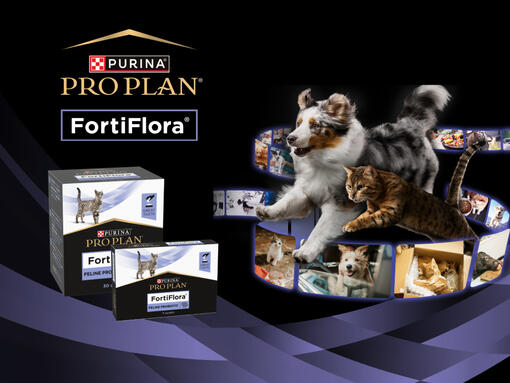 PRO PLAN® FortiFlora
