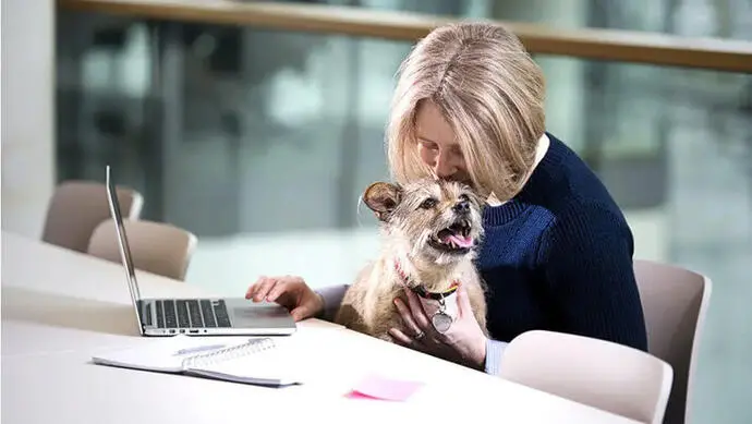 Nainen ja koira kannettavalla tietokoneella