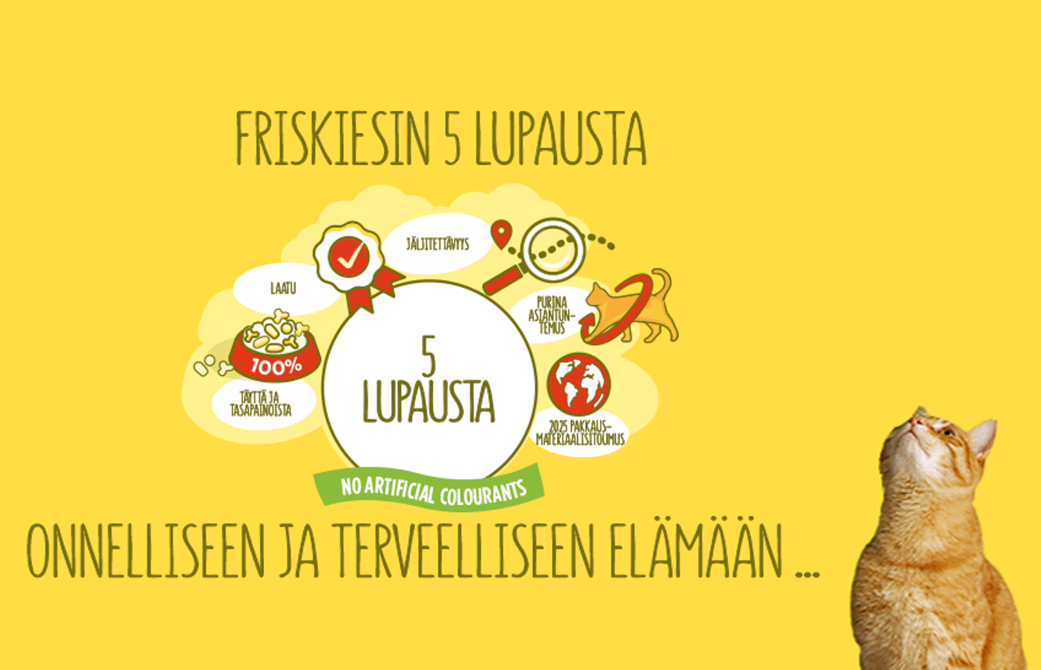 Friskiesin 5 lupausta kissa Friskiesin 5 lupausta kissa