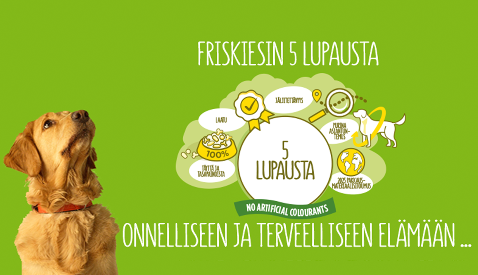 Friskiesin 5 lupausta koira Friskiesin 5 lupausta koira
