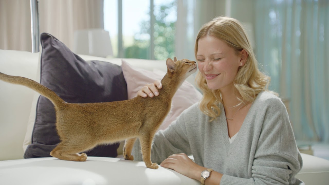 Purina ONE® 3 viikon kokeilu